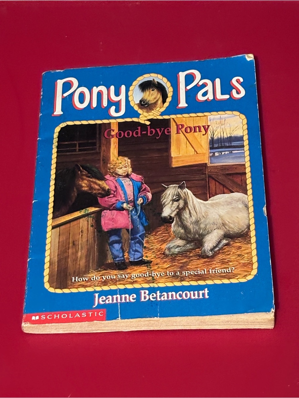 Scholastic Pony Pals Book - Blue Cover with Pink Jacket